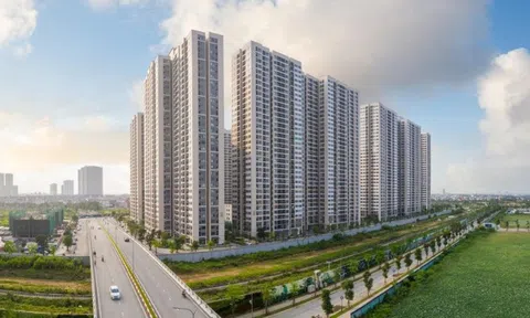 Top 10 dự án chung cư bán chạy nhất năm 2024 đều nằm tại 3 đại đô thị của Vinhomes