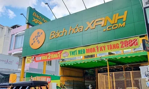 Bách Hóa Xanh mở gần trăm cửa hàng từ đầu năm, sắp "tiến quân" ra Thanh Hóa, Nghệ An