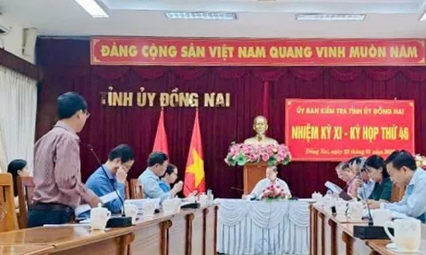 Ủy ban kiểm tra tỉnh ủy Đồng Nai kết luận nhiều tập thể, cá nhân sai phạm