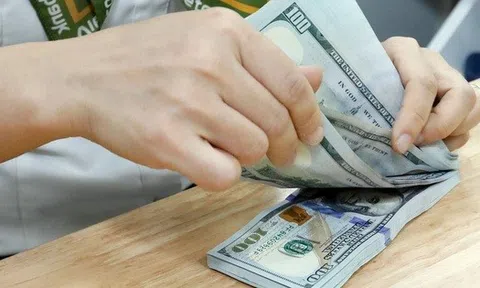 Tỷ giá hôm nay 25/2: USD tự do giảm, USD ngân hàng diến biễn trái chiều