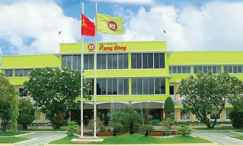 2 công ty tên tuổi Điện Quang, Nhựa Rạng Đông do các em cựu thứ trưởng Hồ Thị Kim Thoa dẫn dắt đồng loạt báo lỗ cả trăm tỷ: Điều gì đang xảy ra?