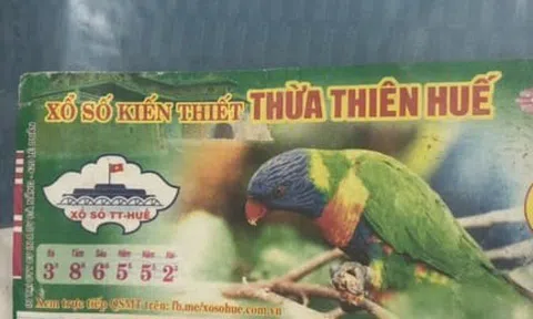 Vụ kiện từ chối trả thưởng tờ vé số trúng hai tỷ đồng: Hoà giải thất bại