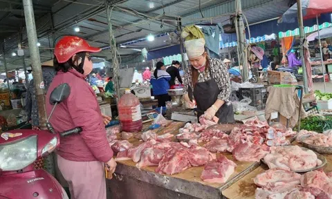 Giá thịt lợn ‘nhảy đồng’, chủ trang trại ở Hải Phòng thừa nhận tình cảnh chăn nuôi hiện tại