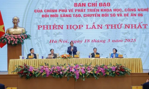 CẬP NHẬT: Phiên họp thứ nhất Ban Chỉ đạo của Chính phủ về phát triển KHCN, đổi mới sáng tạo, chuyển đổi số và Đề án 06