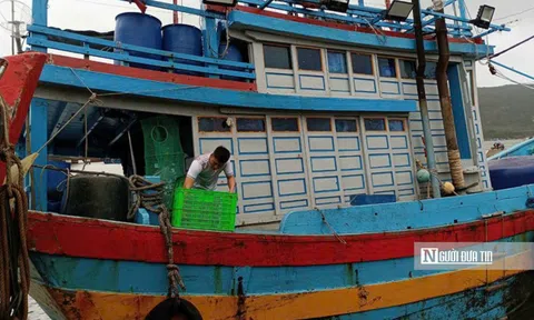 200 tàu cá của ngư dân Bình Định thí điểm gom rác thải nhựa từ biển vào bờ