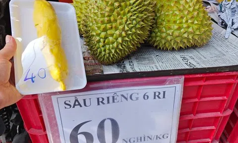 Sầu riêng loạn giá, xuất khẩu giảm sâu