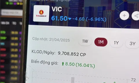 Cổ phiếu Vingroup giảm mạnh