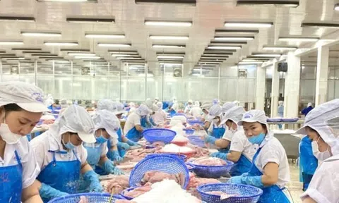 Nước nào tiêu thụ cá tra Việt Nam lớn nhất thế giới?