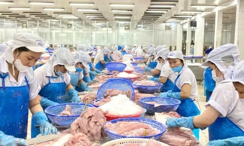 Thị trường đang tiêu thụ cá tra Việt Nam lớn nhất
