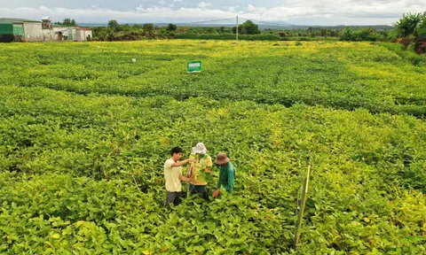 Vinasoy được vinh danh "Doanh nghiệp tiên phong trong quản lý tài nguyên bền vững"