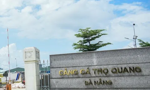 Hơn 65 tỷ đồng cải tạo môi trường âu thuyền, cảng cá lớn nhất Đà Nẵng