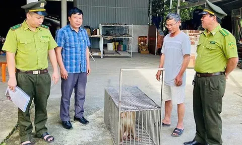 Cứu hộ 14 cá thể động vật hoang dã, bảo vệ nghiêm ngặt đàn cò quý hiếm tại Quảng Bình