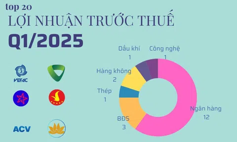 20 cái tên lãi lớn nhất quý 1/2025: Ngân hàng và BĐS áp đảo, chỉ có duy nhất 1 doanh nghiệp sản xuất