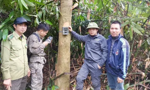 Người thầm lặng bảo vệ "lá phổi" ở VQG Vũ Quang - Kỳ 2: Những cuộc giải cứu thầm lặng