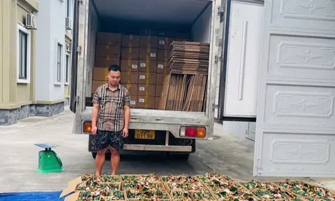 Thu giữ 5,3 tấn chân gà rút xương không rõ nguồn gốc tại Tuyên Quang