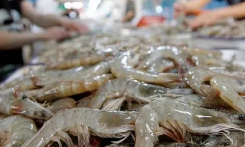 'Siêu thực phẩm' Việt được Trung Quốc đặc biệt ưa chuộng: Xuất khẩu tăng mạnh 125%, nhưng Mỹ mới là thị trường 'chịu chi' nhất
