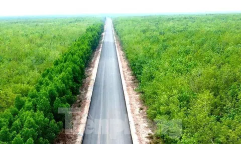Dự án đường Hồ Chí Minh qua 4 tỉnh phía Nam vừa 'lỡ hẹn' về đích