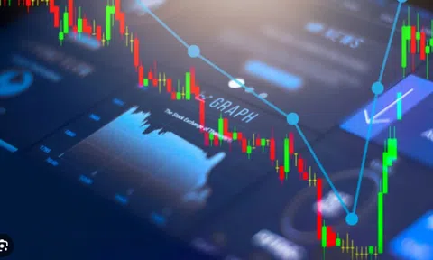 4.000 người sập bẫy sàn giao dịch ngoại hối này
