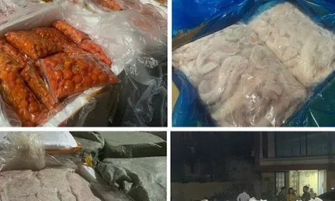 Hà Nội: Phát hiện hơn 7 tấn trứng non, nầm lợn không rõ nguồn gốc ở Thanh Trì