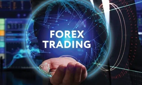 NHNN nói gì về các sàn Forex đang hoạt động tại Việt Nam?