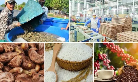 Không phải gạo hay tôm: Đây mới là 'vua nông sản Việt', thu về 3,8 tỷ USD trong 4 tháng
