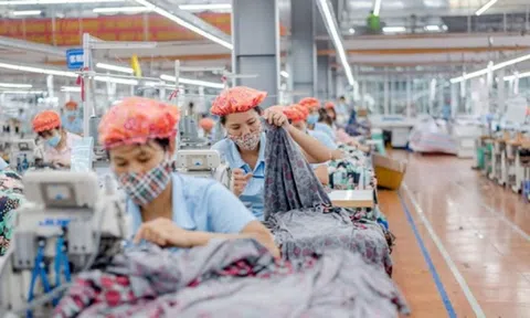Doanh nghiệp dệt may có tỷ trọng xuất khẩu sang Mỹ cao nhất ngành sắp thưởng cổ phiếu 50%, kế hoạch lợi nhuận cao kỷ lục