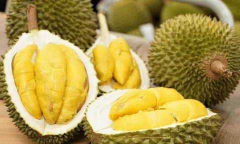 Rào cản khiến sầu riêng Việt 'mắc cạn' ở cửa khẩu Trung Quốc