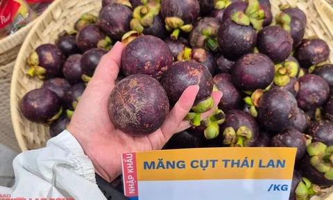 Điều gì khiến trái cây Thái Lan dần biến mất tại Việt Nam?