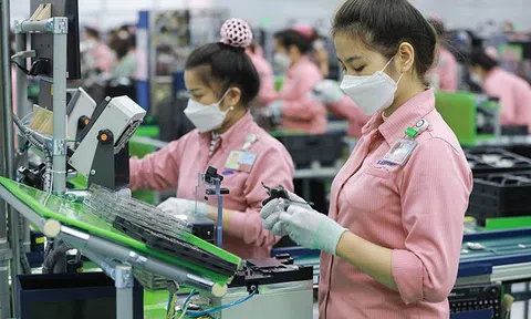 Việt Nam chi 5,6 tỷ USD nhập hàng Mỹ trong 4 tháng