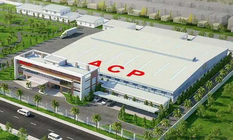 Giá dừa tăng nhanh như giá vàng, ‘đại gia’ dừa doanh thu gần nghìn tỷ báo lãi giảm 23%