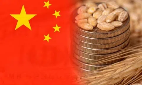 Trong vài tuần gần đây, Trung Quốc đã âm thầm thu gom hàng trăm nghìn tấn lúa mì và lúa mạch