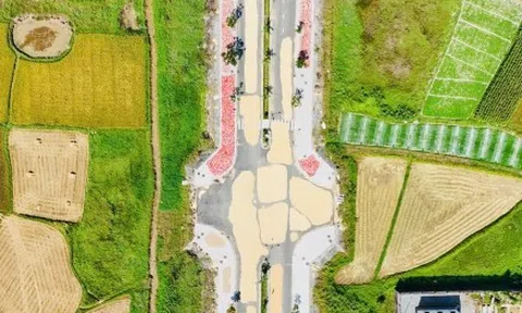 Đường hơn 34 tỷ nối Quốc lộ 1A ra giữa đồng, làm xong chỉ để phơi nông sản