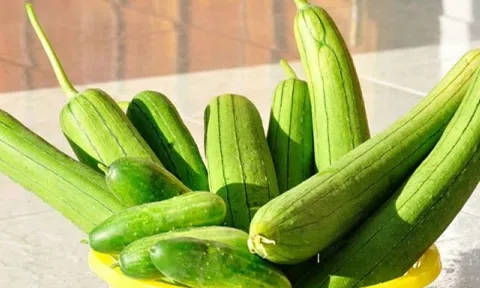 Loại quả được ví như 'nhân sâm của người nghèo', giá rẻ, bán chạy khắp chợ Việt vào mùa hè