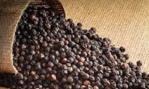 Một 'mỏ vàng' đắt đỏ của Việt Nam được Mỹ, Trung Quốc cực kỳ ưa chuộng: Thu về 510,6 triệu USD kể từ đầu năm