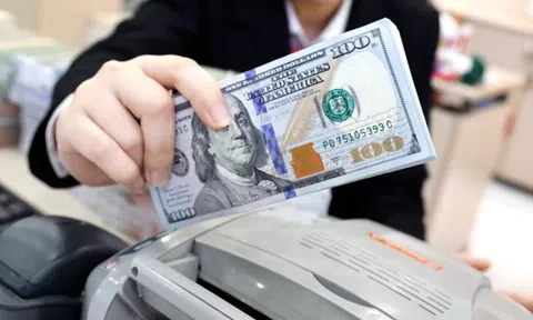 Dự báo mới nhất về giá USD