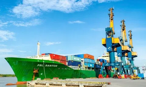 Viconship ‘gom’ thêm hơn 2,4 triệu cổ phiếu Xếp dỡ Hải An