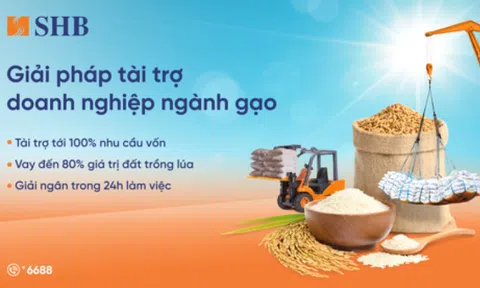 SHB ra mắt giải pháp tài trợ linh hoạt cho ngành gạo, đồng hành cùng Chính phủ phát triển nông nghiệp bền vững