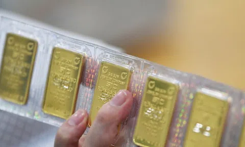 Thủ tướng yêu cầu sớm ban hành kết luận thanh tra các tổ chức kinh doanh vàng