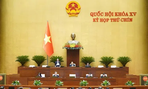 Chấp nhận rủi ro trong khoa học là cần thiết nhưng phải có tiêu chí đánh giá rõ ràng