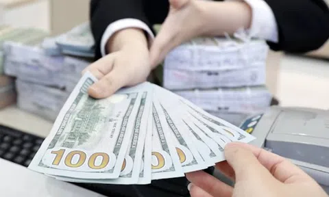 Giá USD tại Việt Nam giảm mạnh