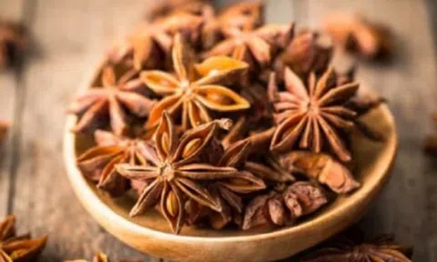 Việt Nam sở hữu 'cánh hoa nghìn tỷ' cực hiếm trên thế giới: Xuất khẩu thu về gần 22 triệu USD kể từ đầu năm, Ấn Độ liên tục săn lùng