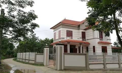 Loại cây tài lộc biến ngôi làng nghèo tại Vĩnh Phúc thành làng 'tỷ phú'