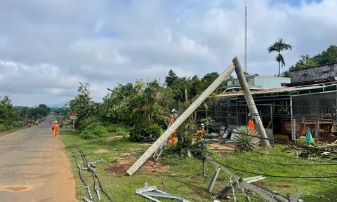 Thông tin mới vụ hàng loạt trụ điện ở Gia Lai gãy đổ