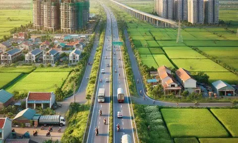 Chuyển mục đích sử dụng đất trồng lúa sang đất ở tại nông thôn, có phải trình Hội đồng nhân dân tỉnh?