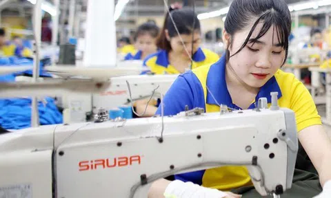 Tin vui “đặc biệt”: Doanh nghiệp SME được miễn thuế thu nhập trong 3 năm, startup đổi mới sáng tạo nhận “mưa” ưu đãi thuế