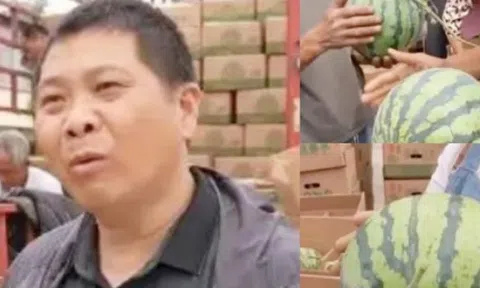 Nghề lạ “chụp X-quang” cho trái cây, kiếm hàng chục triệu/tháng