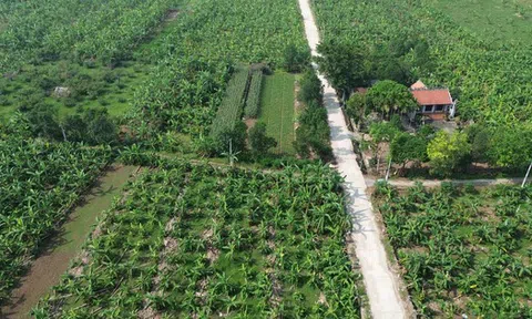 Hà Nội: Rút gọn quy trình về đất đai và không thu phí để xóa nhà tạm, nhà dột nát