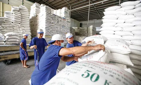 Đề xuất quy định mới về kinh doanh xuất khẩu gạo