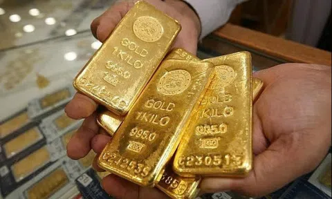 Không cần mỏ vàng: Người Mỹ kiếm tiền từ chính hộp trang sức của mình