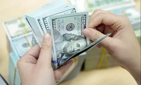 Tỷ giá ngày 19/5: USD và NDT hạ nhiệt nhẹ, chợ đen điều chỉnh mạnh